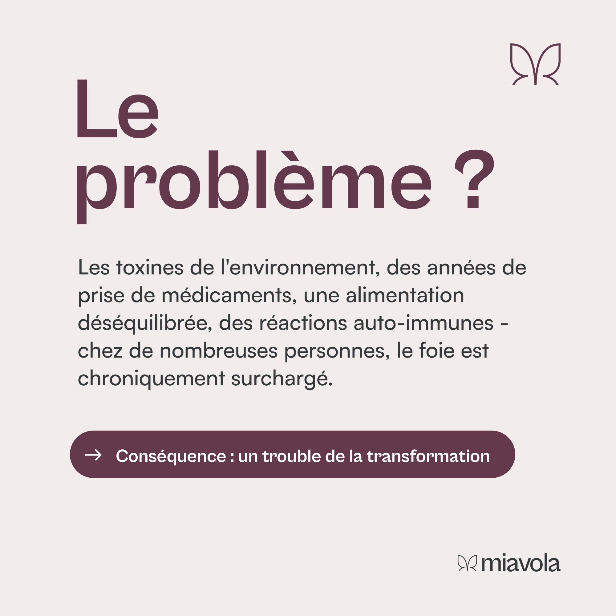 Conversol® - complexe hépatique