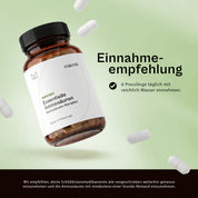 Essentielle Aminosäuren