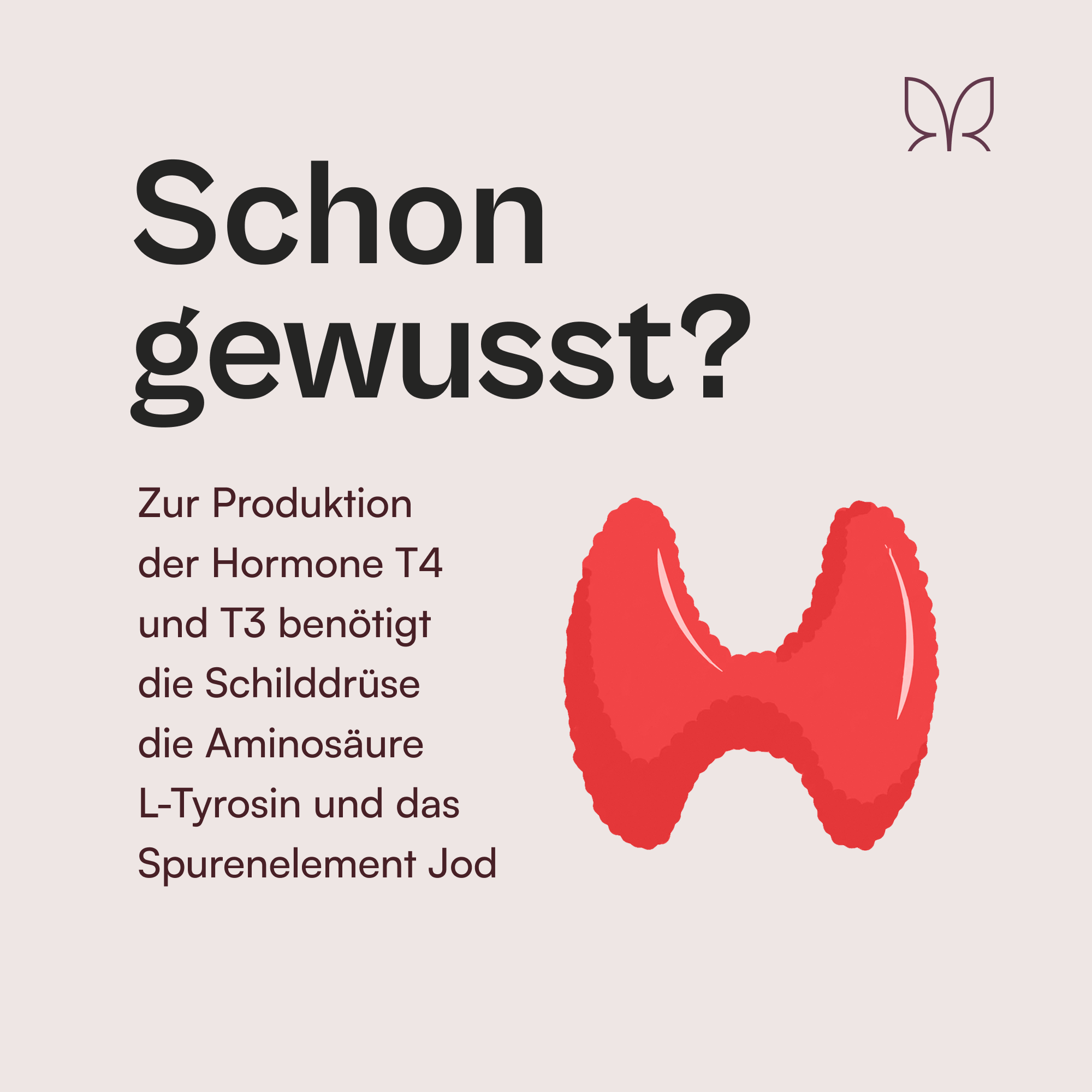 Der Produzent®