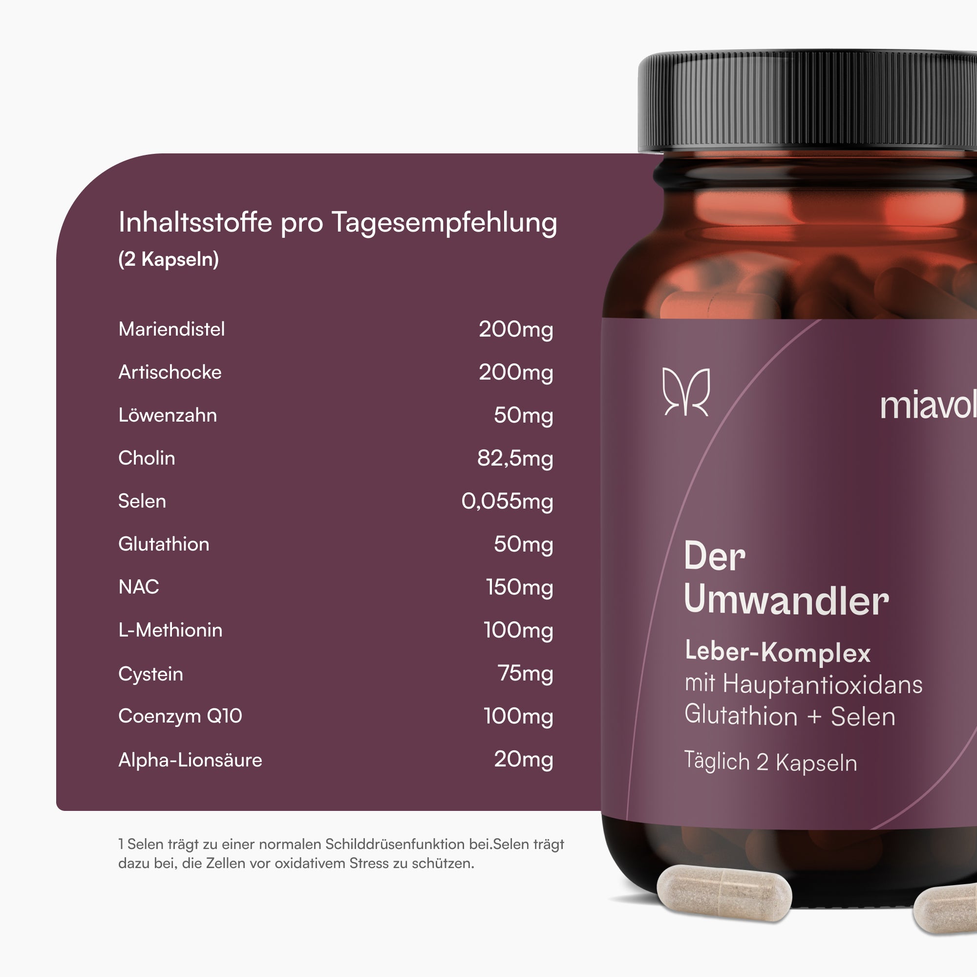 Der Umwandler®