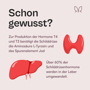 Das Heldenduo - 60 Tage Vorrat