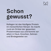 Kollagen-MCT