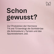 Der Produzent®