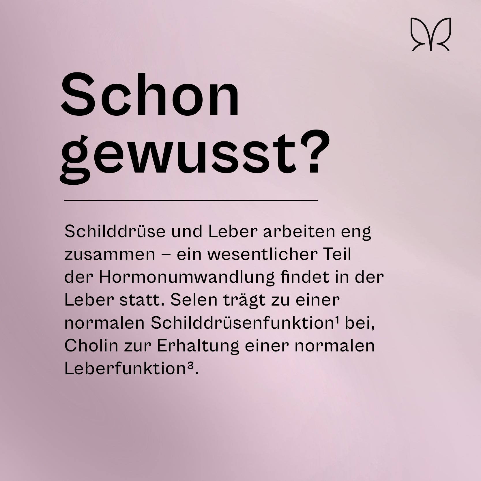 Der Umwandler®