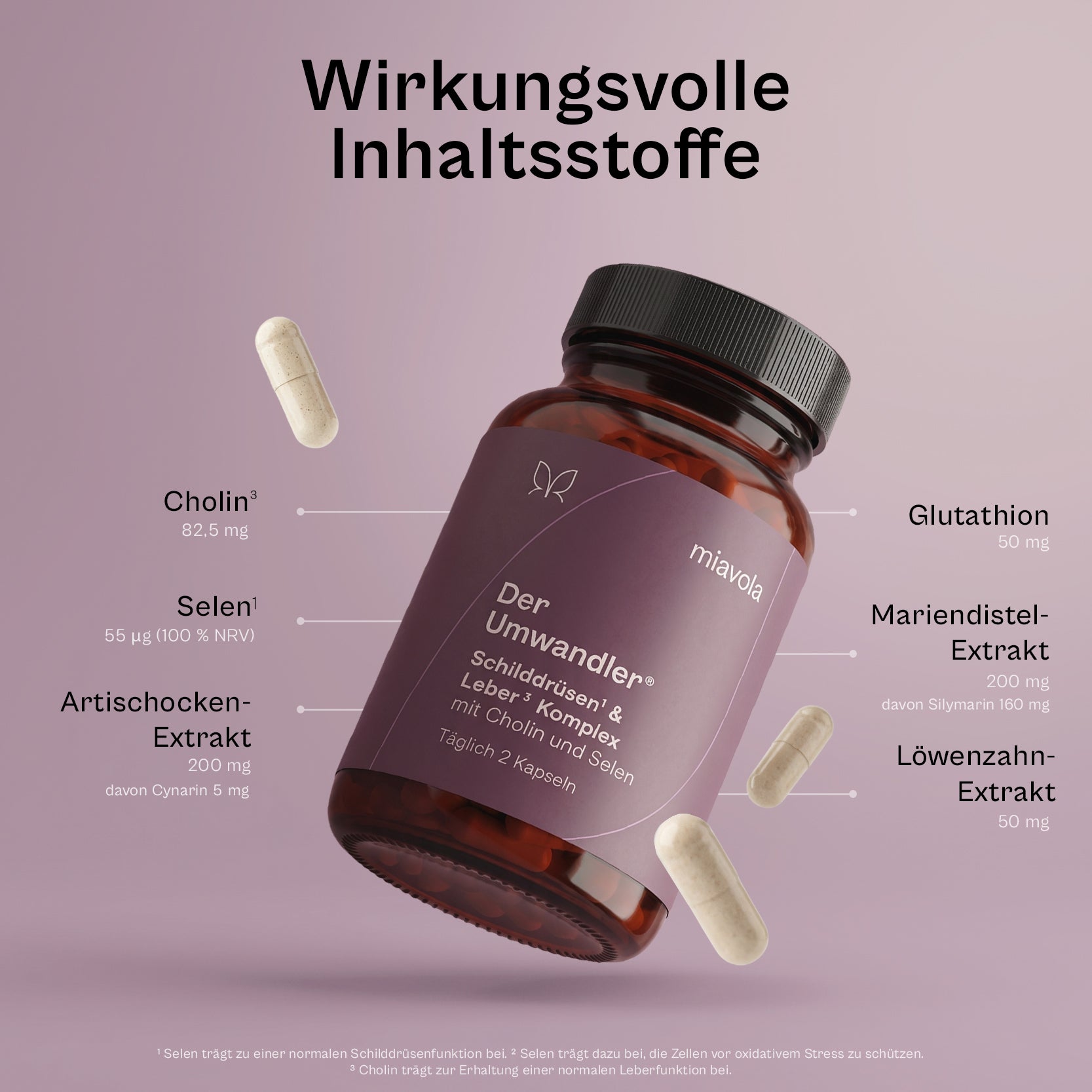 Der Umwandler®