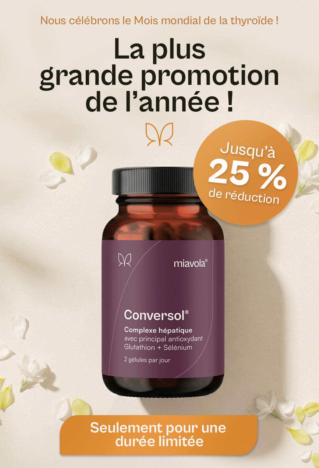 WST-MAIN-SALE-Banner-Mobil-FR.jpg